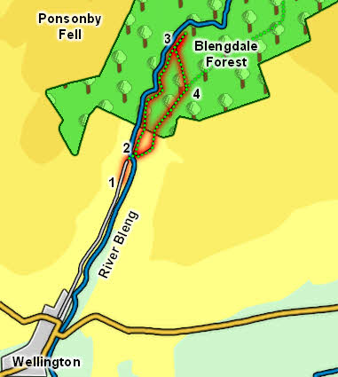 Map: Blengdale Forest 