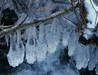 Elaborate Icicles on Brimfull Beck (2 of 2)