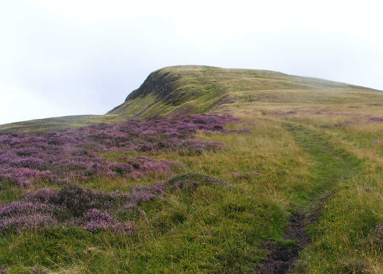 Western slopes of Crag Fell