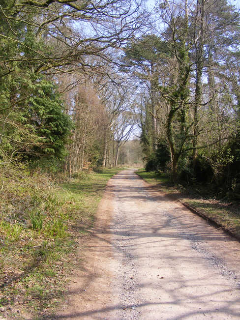 Country Lane at Walls, near Ravenglass 