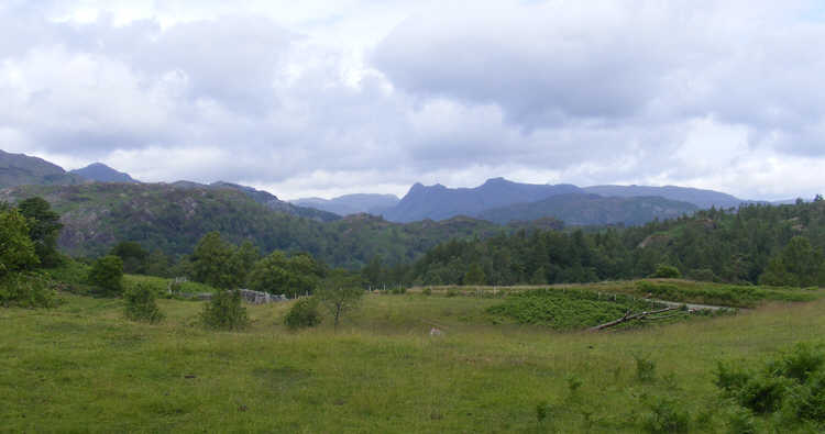 Langdale Pikes from Tarn Hows