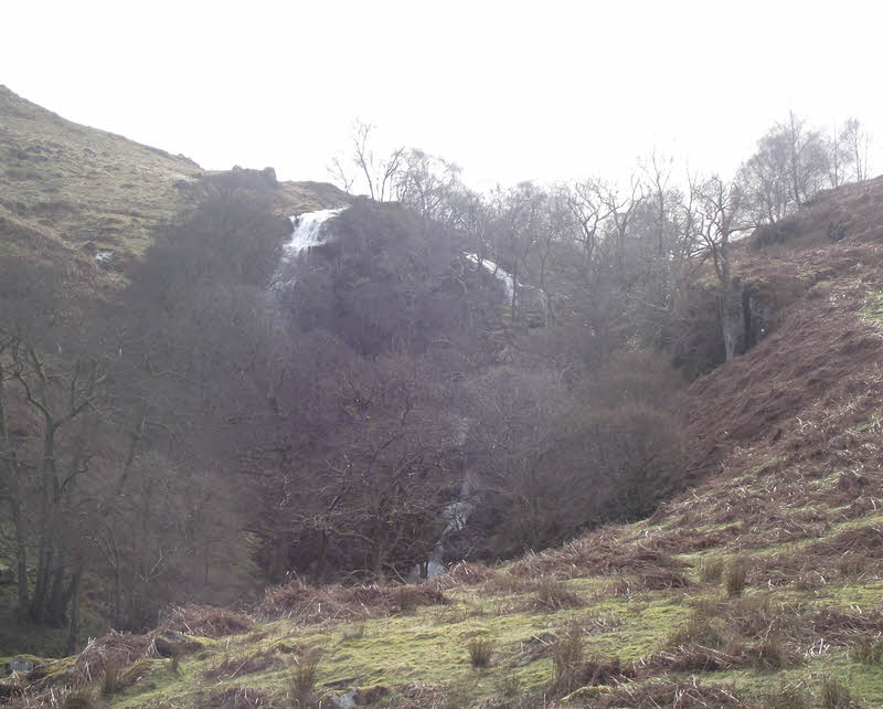 Scalehow Force 