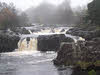 Low Force 