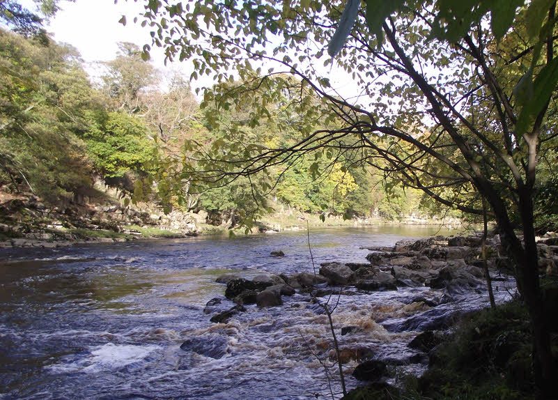 River Tees near Barnard Castle 