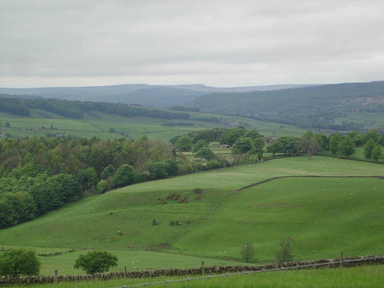 View from Handley Lane