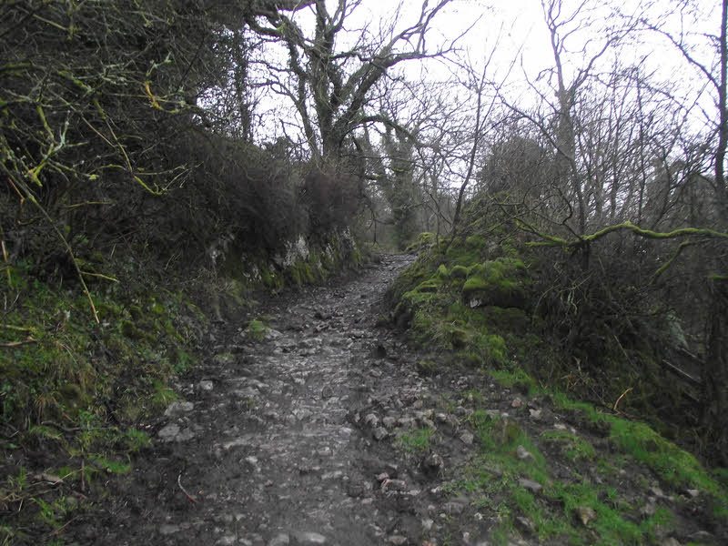 Path above Wettonmill 