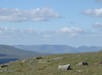 Howgills from Ingleborough