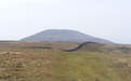 Pen-y-Ghent from Plover Hill 