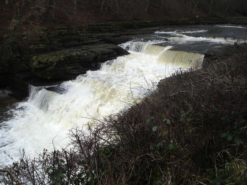 Low Force at Aysgarth