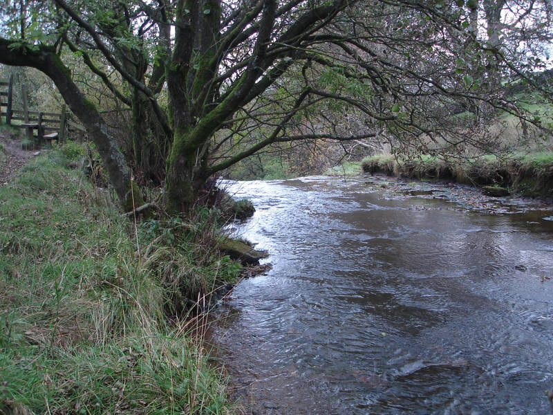 Aysgill Force from above