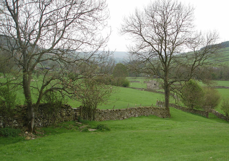 Walden Dale