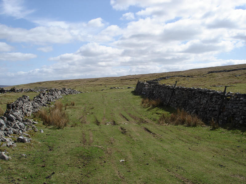 Flanks of Whernside