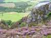 The Ben Gill Ravine, Crag Fell 