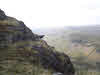 Bold Sheep on Hard Knott 