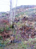 Path up Irton Pike