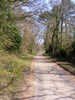 Country Lane at Walls, near Ravenglass 