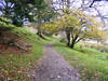 Grasmere from Loughrigg Terrace