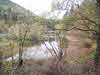 Moss Eccles Tarn 