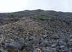 Western slopes of Scafell 