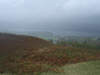 Windermere from Latterbarrow