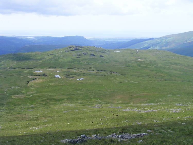 Quagrigg Moss