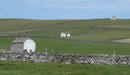 White barns