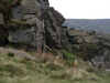 Climbers on the Roaches 