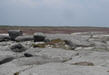 Looking north east from Kinder Low