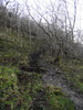 Steps leaving Cales Dale 