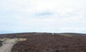 Top of the Long Mynd