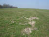 First Heights, Millington Pasture